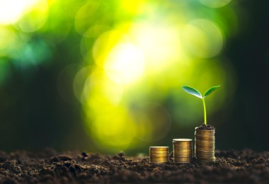 stack of coins sprouting