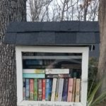 full free little library