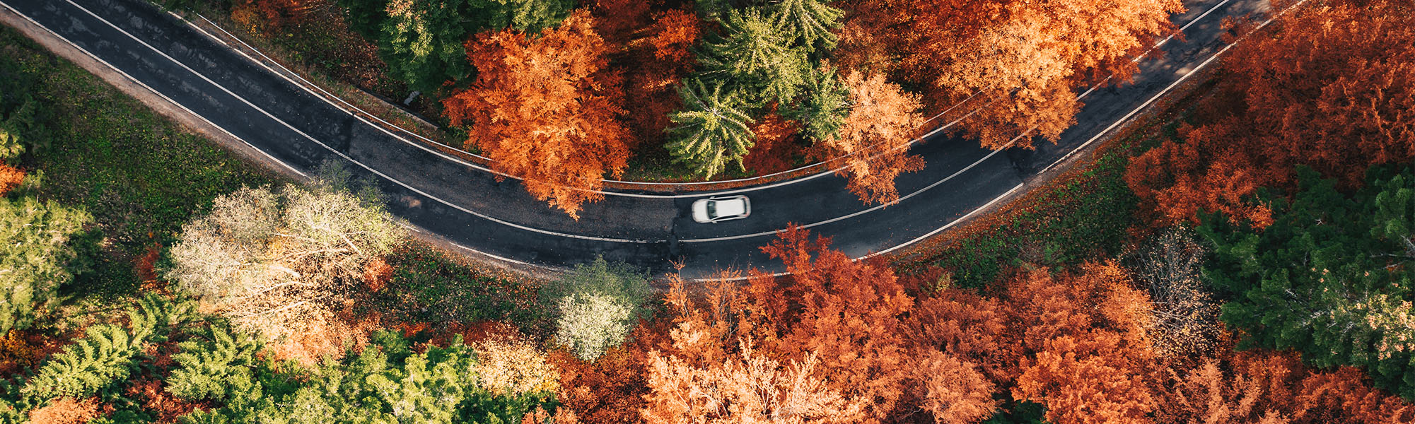 car driving down road in fall